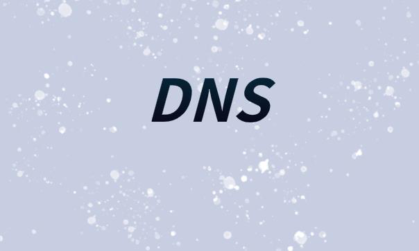 解决DNS冲突的安全性方法