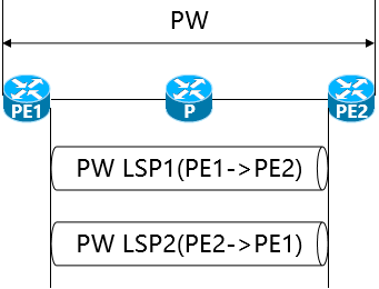 L2VPN 的基本模型