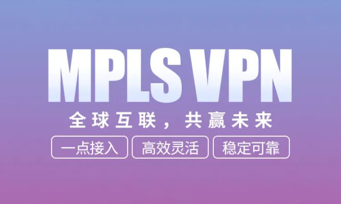 Vecloud国际MPLS VPN智联全球 共赢未来
